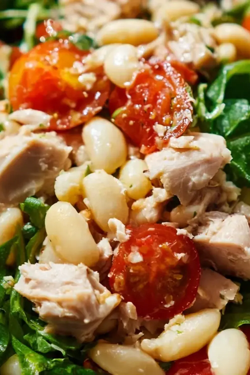 Thunfisch und weiße Bohnen Salat